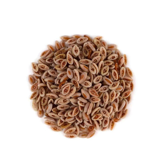 Isabgol Seeds Edible-Psyllium Seeds-इसबगोल बीज-Isab Gol Beej-Plantago ovata-Spogel Seed-Isappukol