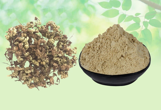 Laxmana Booti Leaves Powder-Selaginella Bryopteris-Sanjeevni-Sanjivni Booti