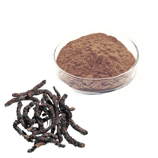 Kutki Root Powder – Katuki Jadd Powder – Kutaki Roots Powder – Picrorhiza Kurroa – Dried Herbal Root Powder