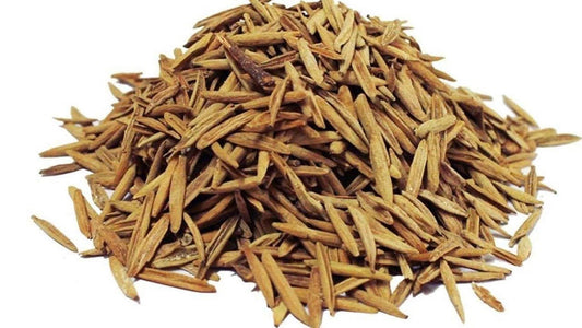 Indrajau Kadwa-Inderjo Karwa-इन्द्रजौ कड़वा-Inderjau Talkh Raw herbs-Holarrhena Pubescens Jadi Booti Dried