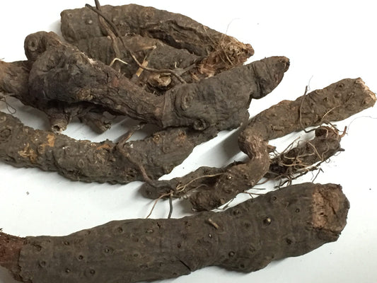 Anjbar-Anjwar-Alpine Bistort-Polygonum Viviparum-अंजवार-Bistorta Officinalis-Persicaria Bistorta-Dried-Raw Herbs-Jadi Booti