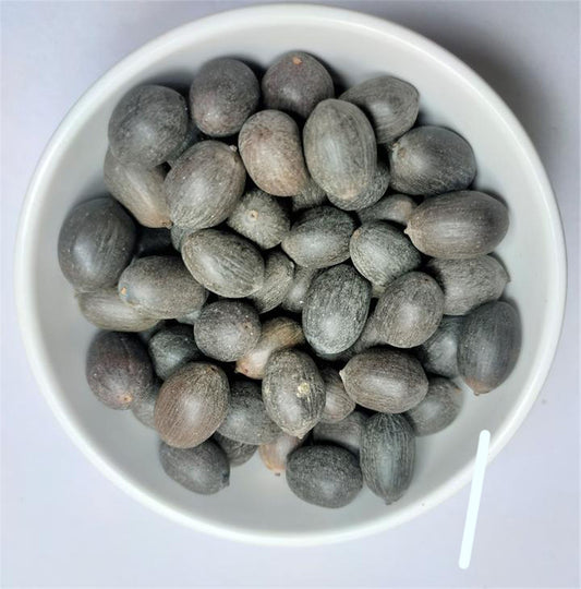 Kamal Gatta- Lotus Seeds- Kamal Beej- कमल गट्टा-कमल बीज- Nelumbo Nucifera-Thamarai Vithai -Kamalam Ginjalu-Padma Beej
