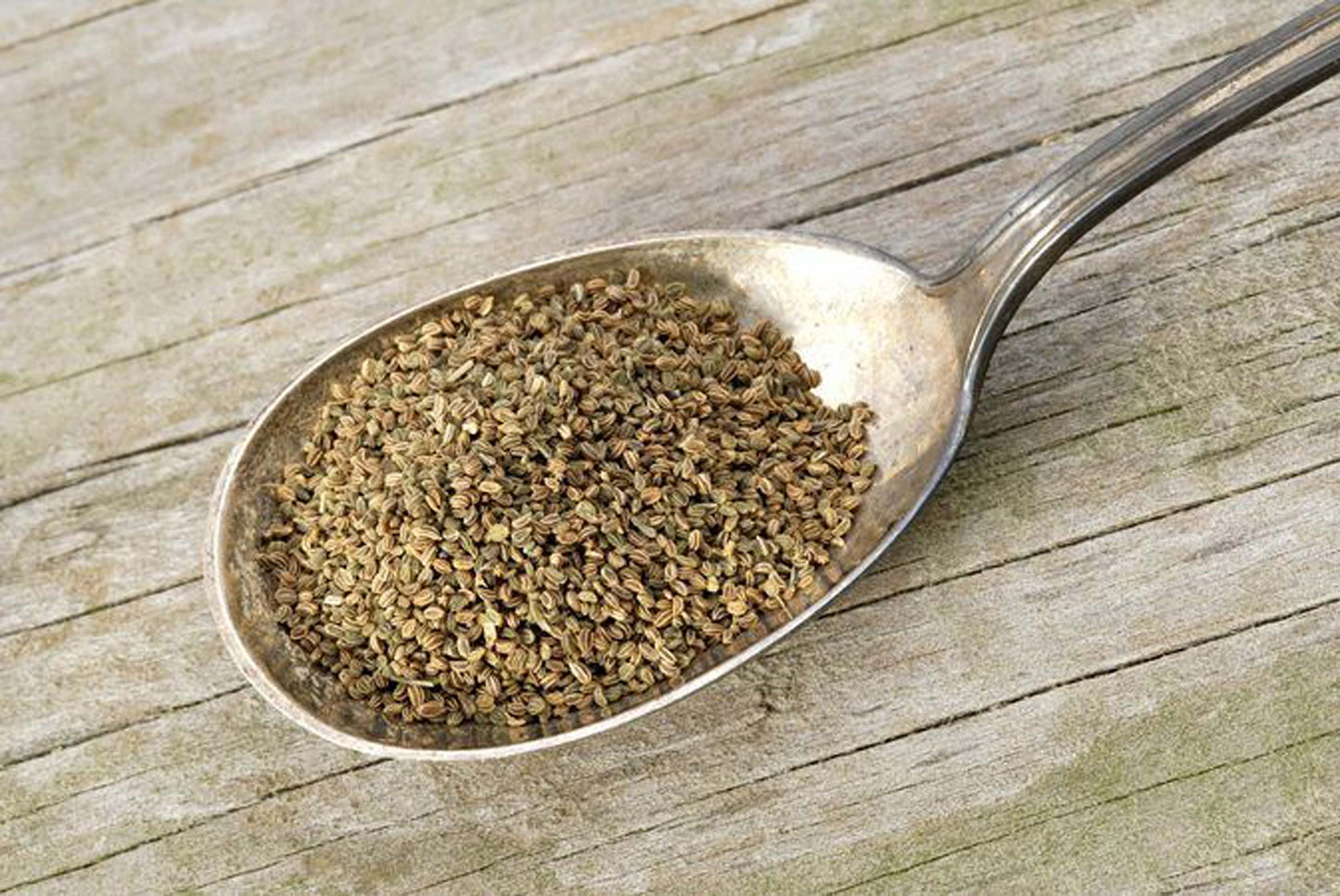 Carom Seed/Ajwain/ Ajowan Essential Oil 10 ml
