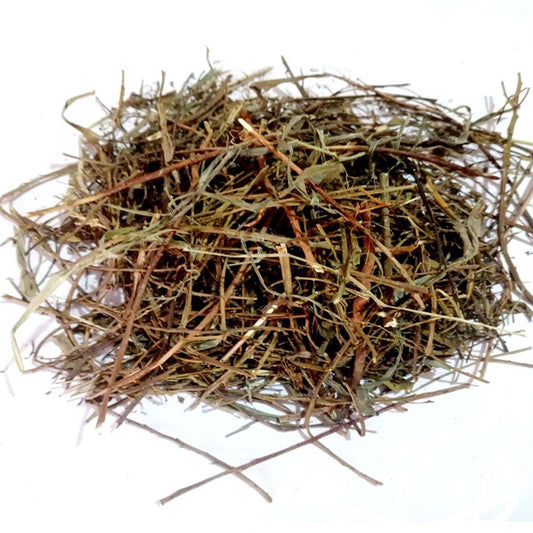 Bhumi Amla (Panchang)-Bhumi Aamla-भूमि आंवला- Stone breaker-Bhoomi Awla-Chanca Piedra-Phyllanthus Niruri-Jadi Booti