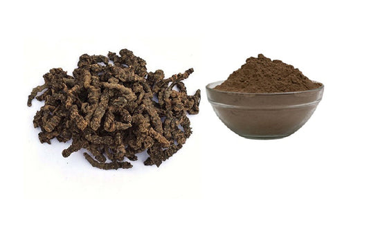 Tagar Powder | Tagar Ganth Powder | Mushkbala Powder | Sugandhabala Powder | Indian Valerian Root Powder | Valeriana wallichii Root Powder | Dried Tagar Root