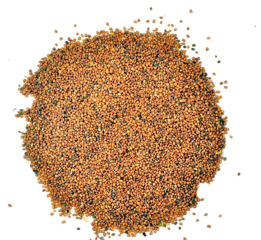 Taramira Seeds-Arugula seeds-Tarameera Seeds-तारामीरा बीज-Brassica eruca-Rocket seeds- Eruca Sativa-Jamba Seed