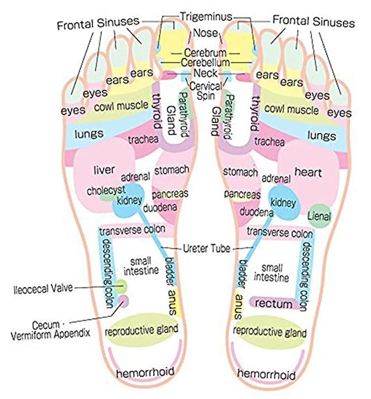 Acupressure Magnetic Foot Massager-Soft-Code 093-फुट मसाजर-Self Massager-Easy to Use-Activate Acupressure Points
