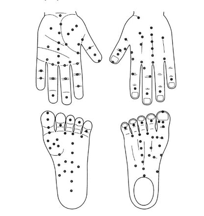 Sujok Seed Therapy English Book (Park Jae Woo)-Code 1439-सुजोक बीज थेरेपी पुस्तक -Acupressure-Easy to Use-Massager-Activate Acupressure Points