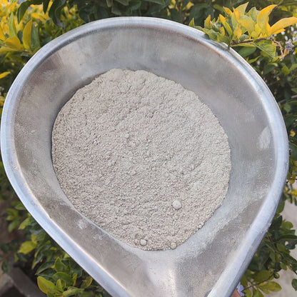 CAREQUE Daily Vitality Herbal Blend Powder | Natural Herbal Energy Blend with Ashwagandha, Shatavari & Musli | Daily Wellness Powder