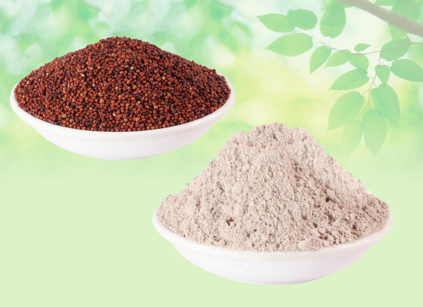 Ragi Seed Powder-Finger Millet-रागी पाउडर-Eleusine Coracana-Raagi Seed Powder-Mandwa-Madua-Nutrients & Fiber