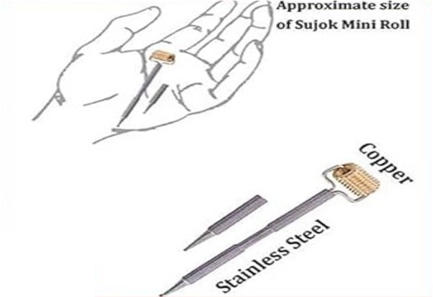 Sujok Therapy Jimmy Kit Set of 11-Code 355-सुजोक थेरेपी जिमी किट-Acupressure-Self Massager-Easy to Use-Massager-Activate Acupressure Points