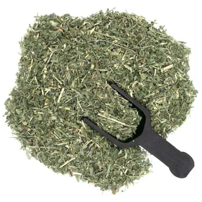 Alfalfa Panchang | Alfalfa Whole Plant | Medicago sativa | Premium Dried Herb