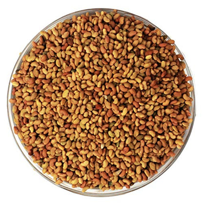 Alfalfa Seed-Medicago sativa-अल्फाल्फा बीज-Hedge Lucerne Seeds -Kuthirai Masal-Lucerne Ginjalu-Ashvabala