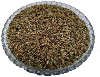 Apamarg Seeds-Achyranthes aspera-अपामार्ग बीज-Prickly Chaff Seed-Uttareni Seeds-Latjira Beej-Chirchita-Latjeera- Apoot Kanta-Uttareni Seed