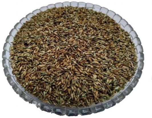Apamarg Seeds-Achyranthes aspera-अपामार्ग बीज-Prickly Chaff Seed-Uttareni Seeds-Latjira Beej-Chirchita-Latjeera- Apoot Kanta-Uttareni Seed