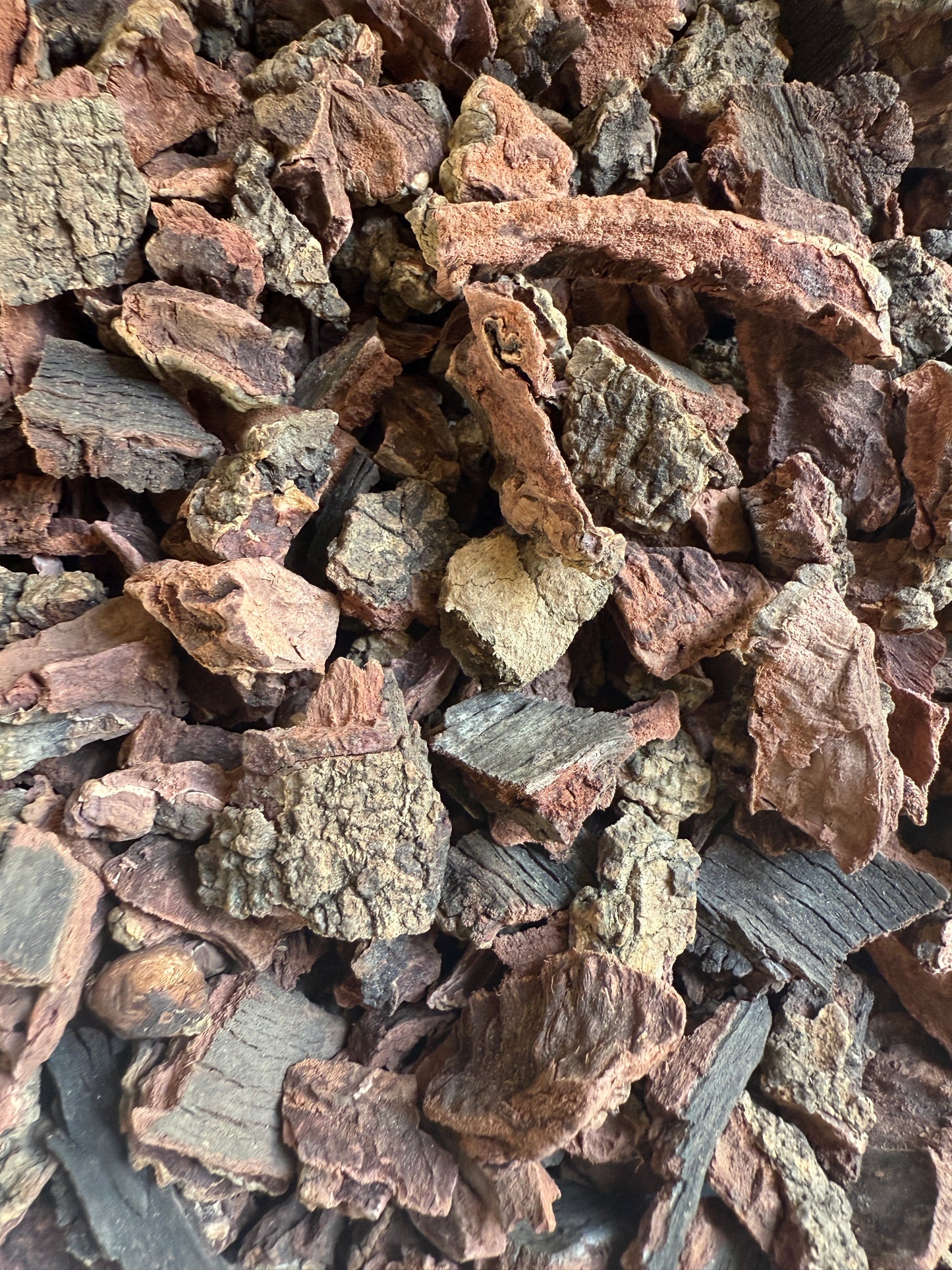 Bay Berry Bark  – Natural Dried Bark – 100 % Pure & Sun-Dried – For Herbal Use