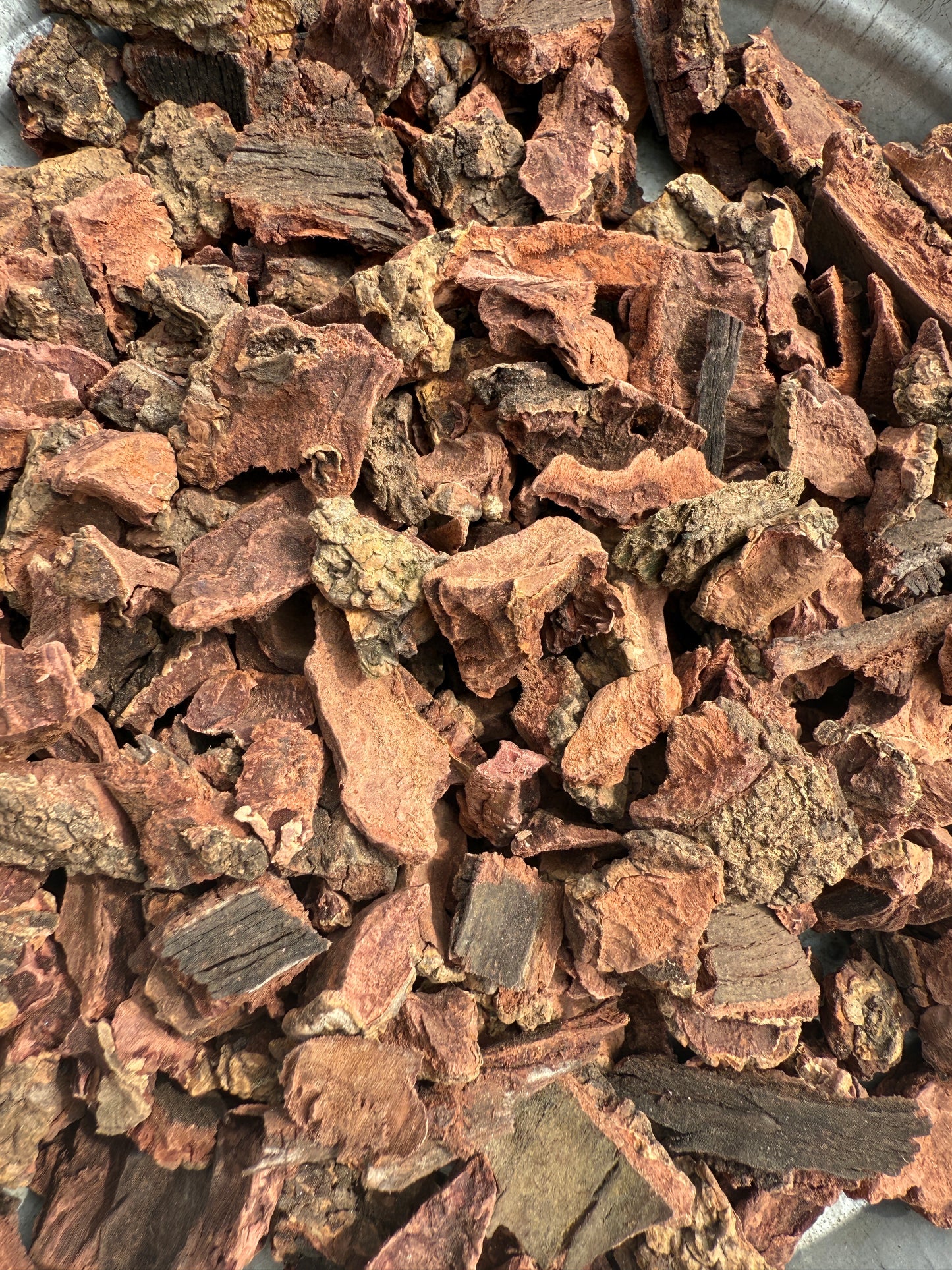 Bay Berry Bark  – Natural Dried Bark – 100 % Pure & Sun-Dried – For Herbal Use