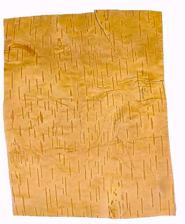 Bhojpatra Large Size Original Sheet – Bhoj Pattar for Mantra, Taweez & Yantra Writing (34 * 25 cm ) & (13 * 9 inches)