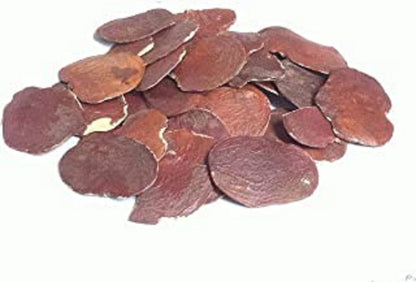 Bilas Papda Edible -Dhak Beej-बिलास पापड़ा- Palash Beej-Tesu Seeds-Butea-Moduga-Parasa-Muttuga