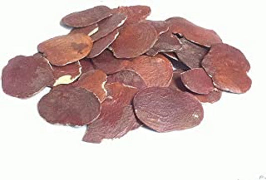 Bilas Papda Edible -Dhak Beej-बिलास पापड़ा- Palash Beej-Tesu Seeds-Butea-Moduga-Parasa-Muttuga