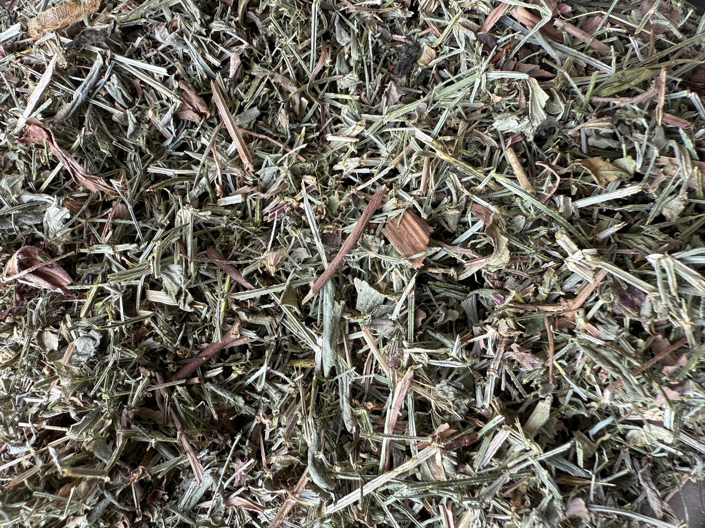 Clever Herbs - Galium aparine - cleavers - Clivers