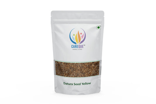 Datura Seeds Yellow- Golden Thorn Apple-धतूरा के बीज पीले- Datura Stramonium-Ummatta -Dhatura Beej Pilla -Ummetta