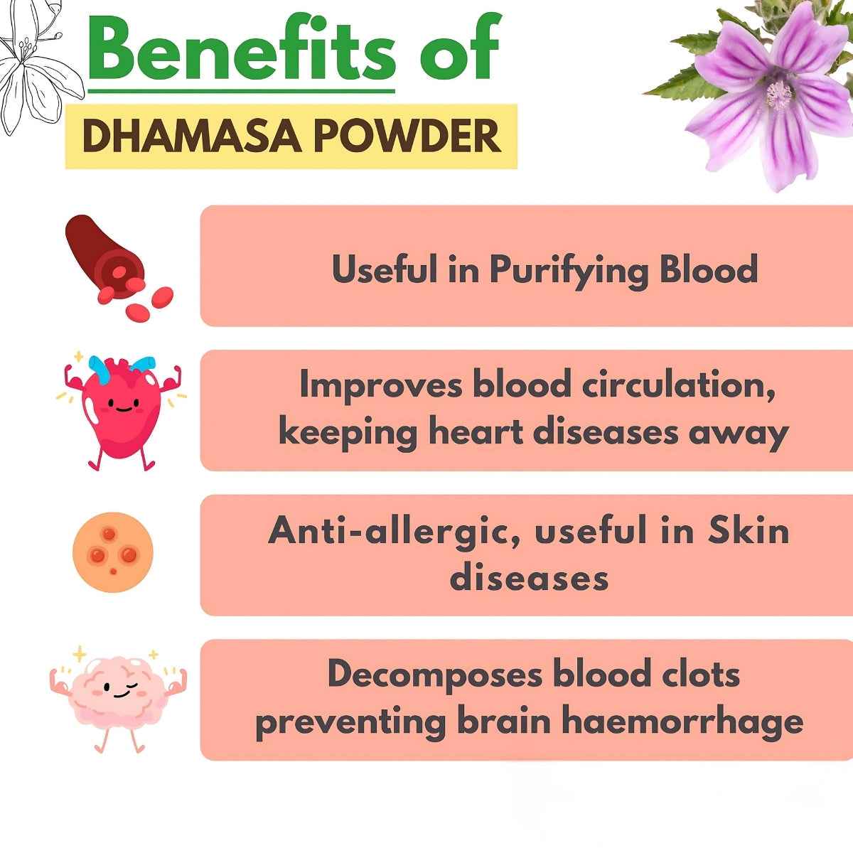 Dhamasa Powder | Fagonia Cretica | धमासा पाउडर | Dhamasa Booti | Fagonia Arabica | Virgin’s Mantle – 100% Pure & Natural