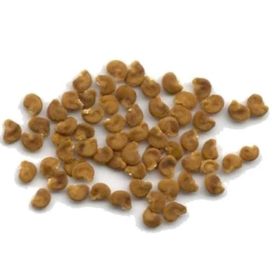 Datura Seeds Yellow- Golden Thorn Apple-धतूरा के बीज पीले- Datura Stramonium-Ummatta -Dhatura Beej Pilla -Ummetta