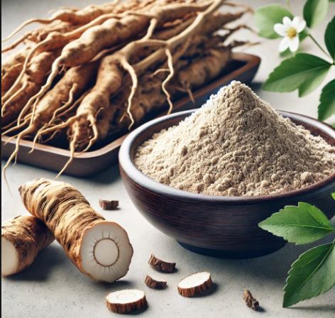 Dong Quai Root Extract Powder – Rich in Natural Botanical Goodness