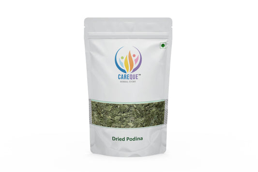 Pudina Dry Leaves-Podina Sookha-Pudina Sukha-पुदीना सूखे पत्ते-Peppermint Leaf-Podina-Mint-Mentha piperita Dried-Raw Herbs-Jadi Booti