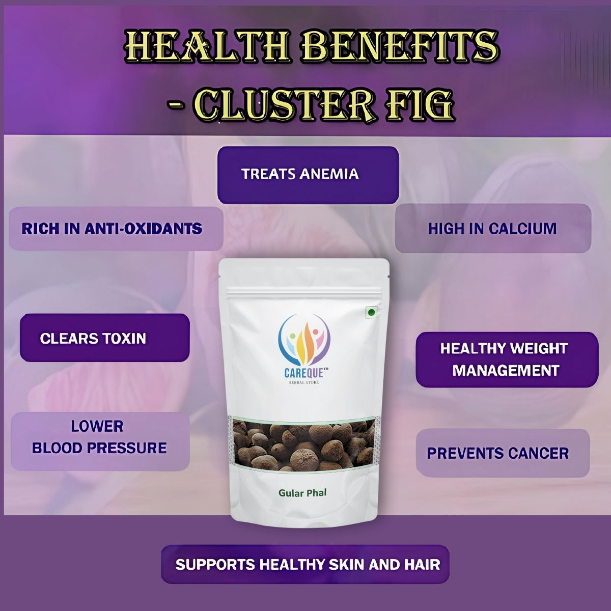 Gular Phal-Gular Fal-Gular Fruit Dried-गुलर फल-Ficus Carica-Raw Herbs-Jadi Booti