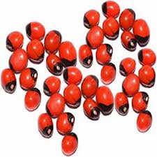 Gunja Lal Seeds - Chirmati Red Beej - Lal Ratti - Abrus Precatorius -Rosary Pea -Jequirity Bean