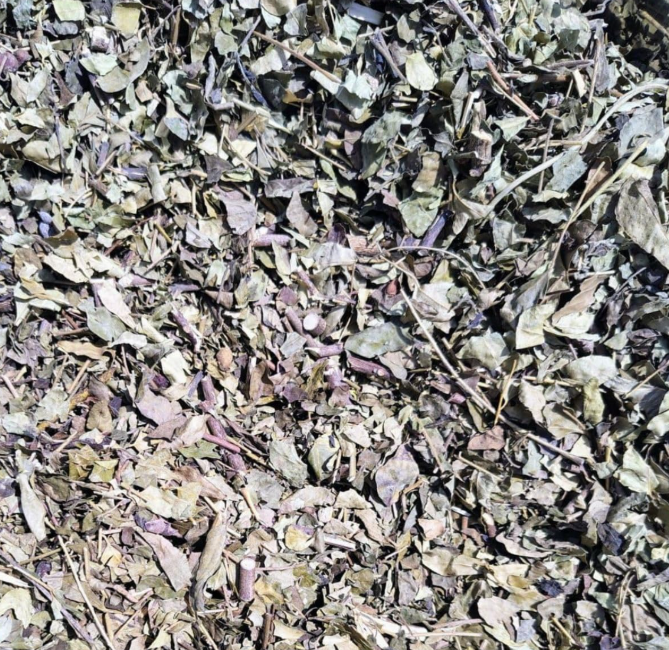 Hibiscus Leaves - Dried China Rose Leaves - Gudhal Patte - Dried Hibiscus Leaves - Mandharam Aaku