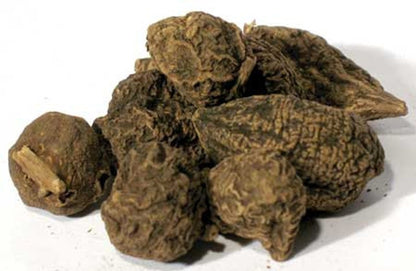 High John Conqueror Root | High John Incense | Jalapa Root |  Lucky Charm Herb for Strength, Success & Positive Energy | Spiritual & Ritual Use