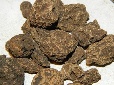 High John Conqueror Root | High John Incense | Jalapa Root |  Lucky Charm Herb for Strength, Success & Positive Energy | Spiritual & Ritual Use