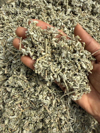 Horehound Herb – Dried Whole Leaves – Marrubium vulgare – Natural Herbal Tea