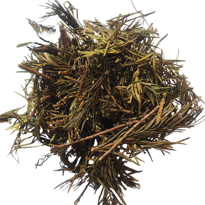 Horsetail Leaves Dried – Equisetum Arvense – Horse Tail / Shave Grass / Puzzlegrass | Premium Herbal Tea Cut Leaves for Skin, Hair & Traditional Herbal Use