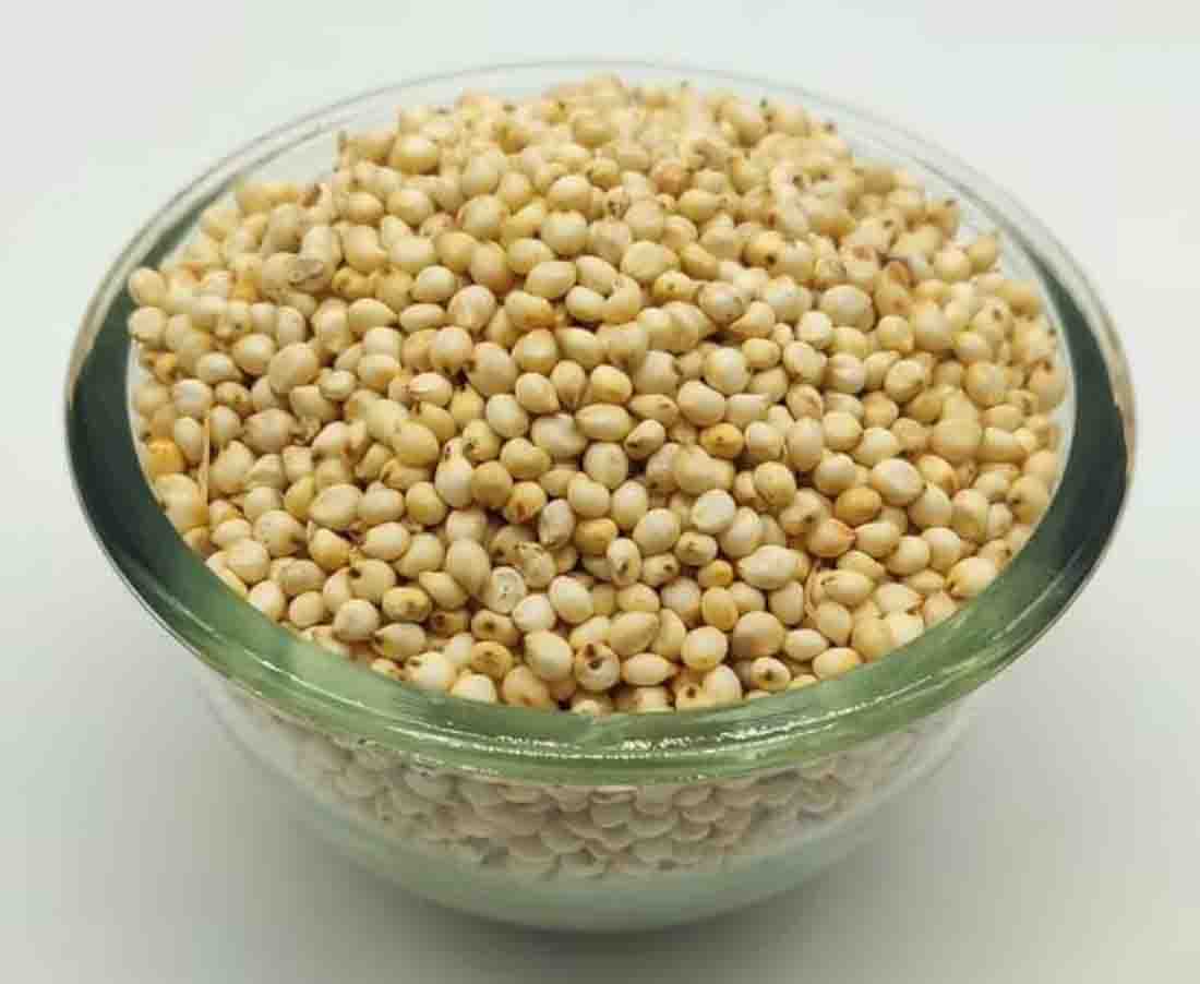 Jawar Whole-Sorghum-ज्वार साबुत-Jowar Millets-Cholam-Jonna-Kaoliang-Jonnalu-Nutrients & Fiber-Delicious Guinea Corn