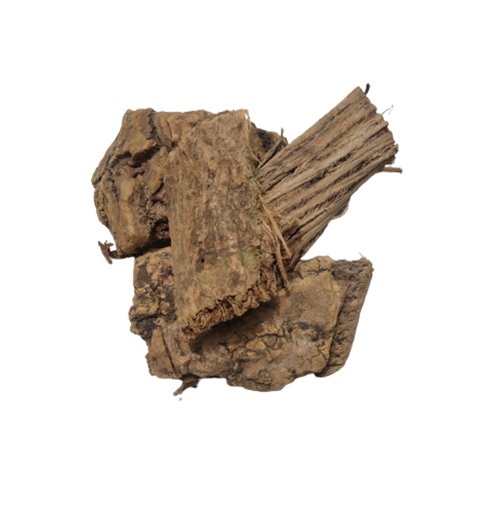 Moringa Bark-Sehjan Chhal-Saragva Chaal-drumstick bark-Raw Herbs-Jadi Booti