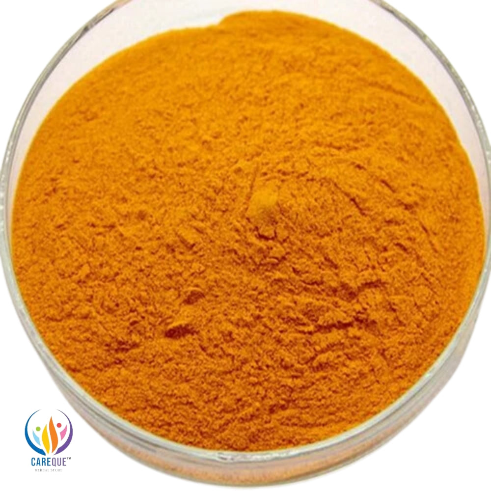 Nano Curcumin 20% Extract Powder: Enhanced Bioavailability for Maximum Health Benefits