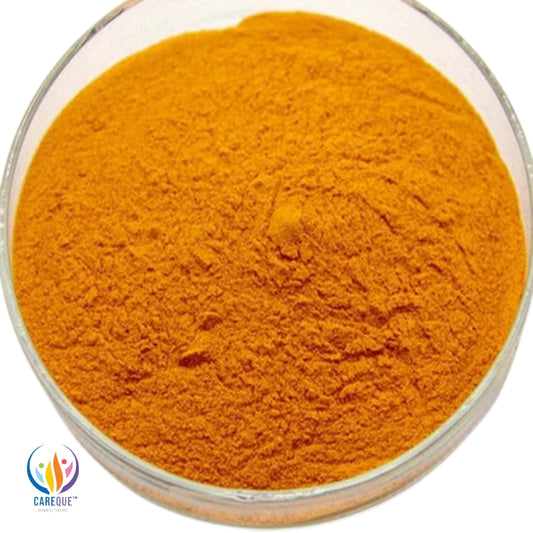 Nano Curcumin 20% Extract Powder: Enhanced Bioavailability for Maximum Health Benefits