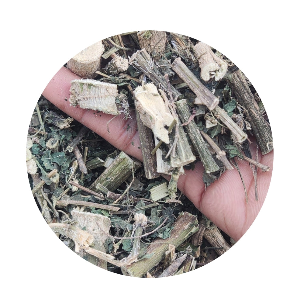 Nettle Dry Panchang-Urtica Dioica-Nettle-Radix-Burn Nettle-Stinging Nettle