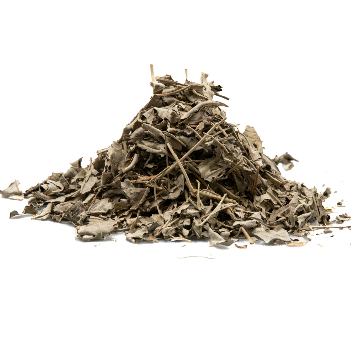 Nirgundi Leaves - Sambhalu Patta - Chaste Leaves - Nigandh Bavri - Nirgund - Vitex Negundo