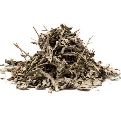 Nirgundi Leaves - Sambhalu Patta - Chaste Leaves - Nigandh Bavri - Nirgund - Vitex Negundo