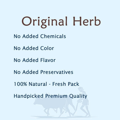 Angelica Root - Angelica - Garden angelica - Wild celery - Norwegian angelica - Angelica archangelica 100% Pure & Natural