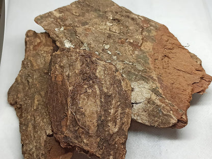Patala Chhal - Padal Bark - Padala - Padhala - Padhal - Stereospermum Suaveolens