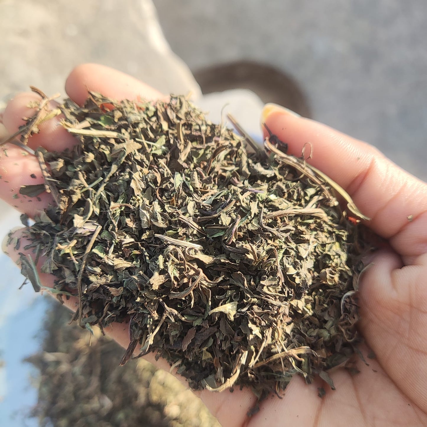 Dried Peppermint Leaves – Herbal Tea Cut Leaves for Infusion & Culinary Use