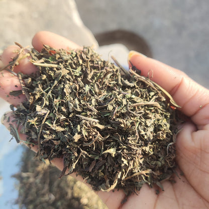 Dried Peppermint Leaves – Herbal Tea Cut Leaves for Infusion & Culinary Use