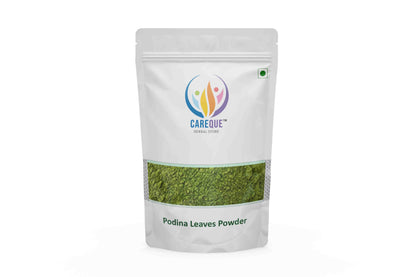 Podina Powder-Pudina Powder-पोदीना पाउडर-Mint Leaves Powder-Mentha Arvensis