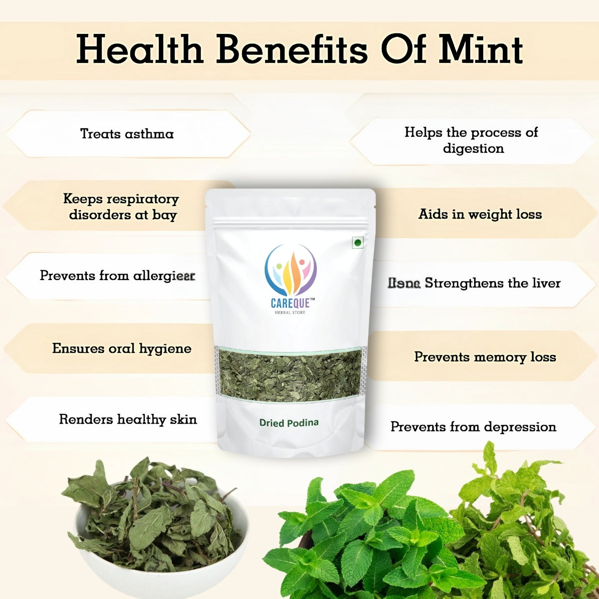 Pudina Dry Leaves-Podina Sookha-Pudina Sukha-पुदीना सूखे पत्ते-Peppermint Leaf-Podina-Mint-Mentha piperita Dried-Raw Herbs-Jadi Booti
